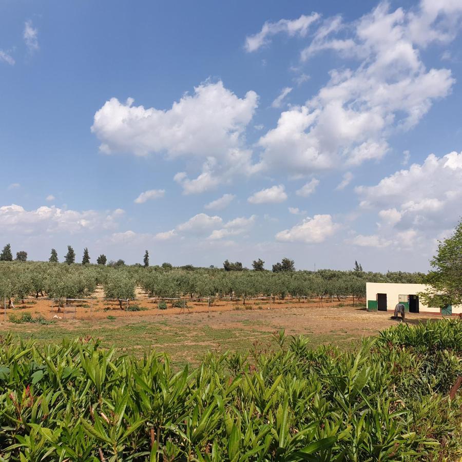 Finca-Vallestares Альмонте Экстерьер фото